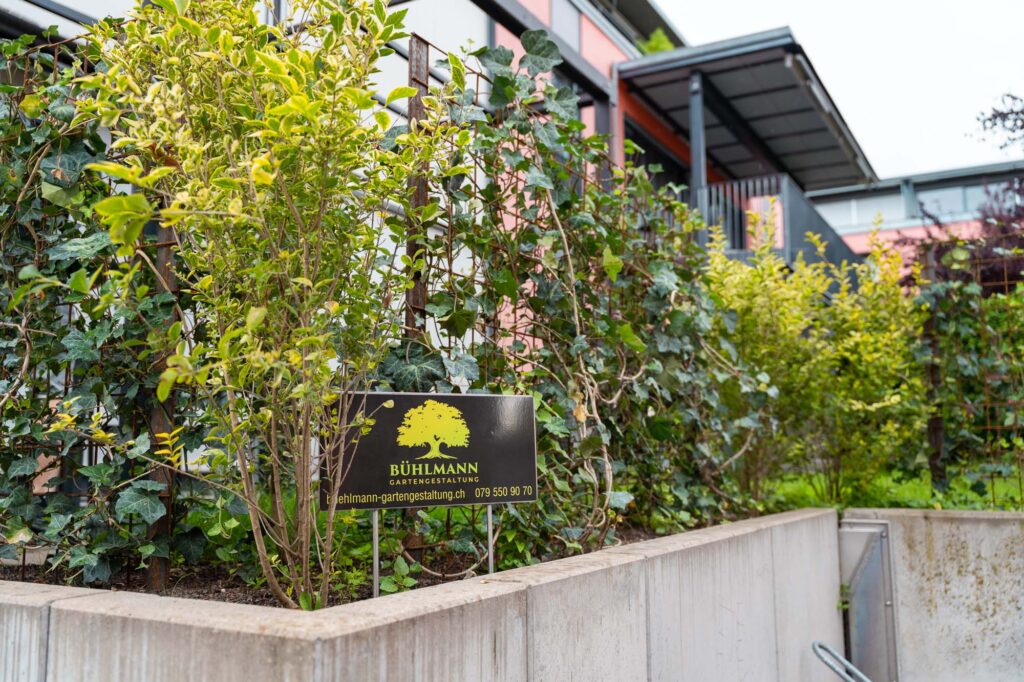 Natürlicher Sichtschutz