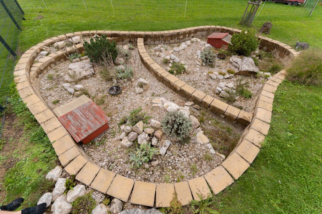 Schildkrötenparadies